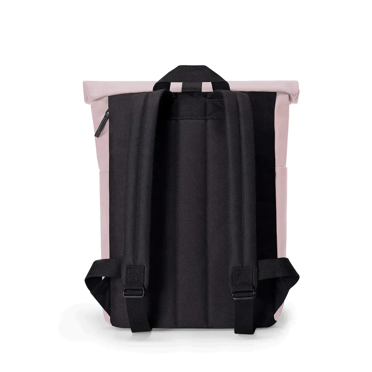 HAJO MINI LOTUS