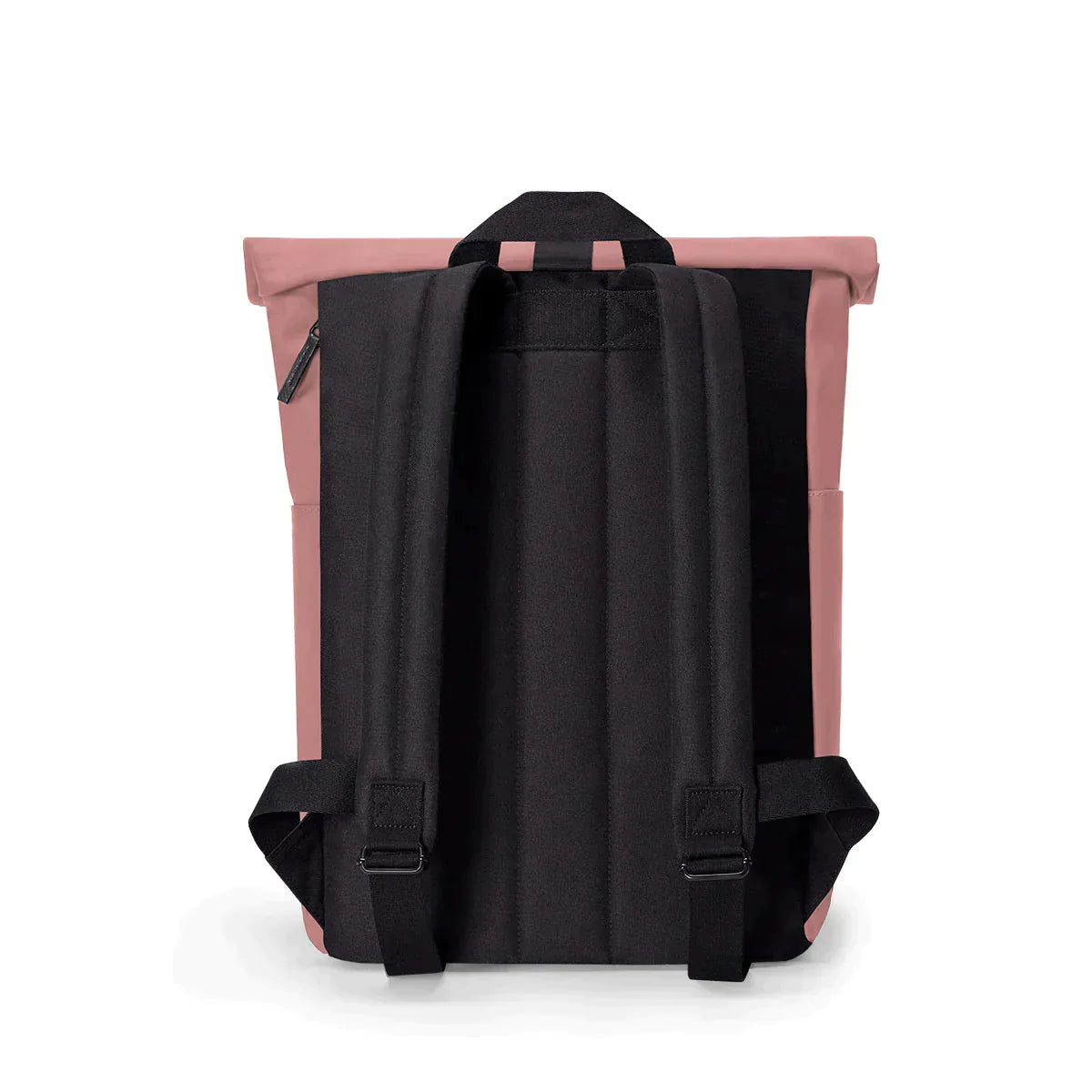 HAJO MINI LOTUS