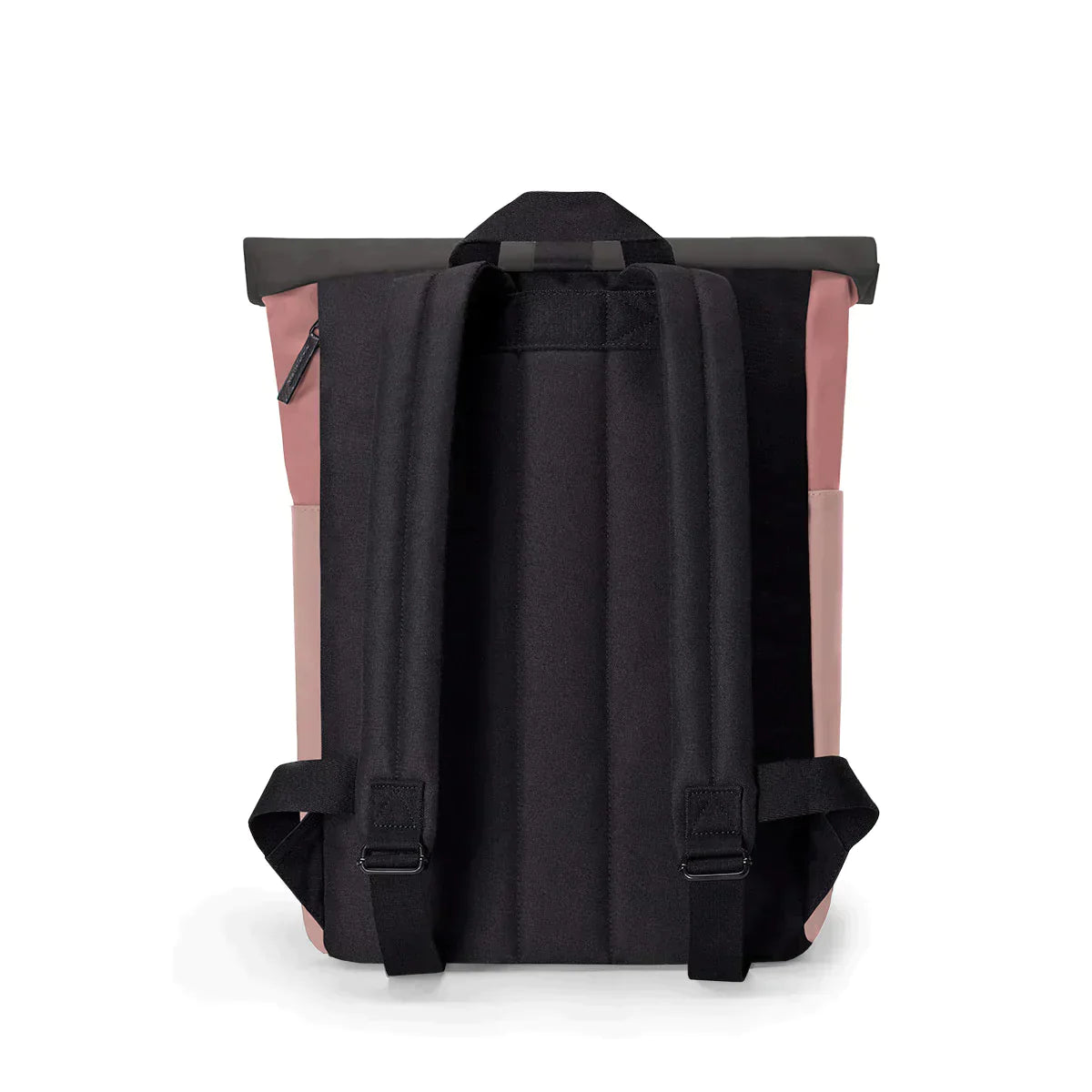 HAJO MINI LOTUS