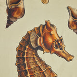 Pareo Mare
